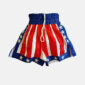 polyester satin shorts